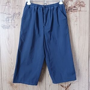 Classic Elements Navy Blue Capri Size Petite small
